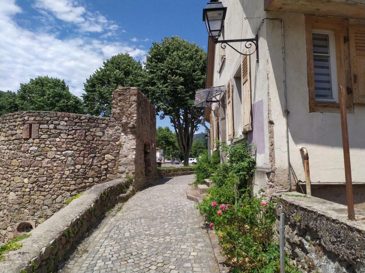 La Grande Terrine - Gites Les Potiers Kaysersberg-Vignoble Zewnętrze zdjęcie