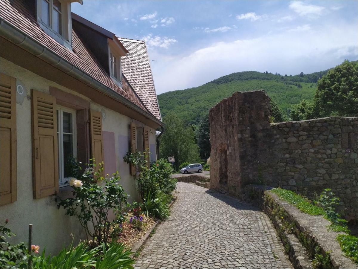 La Grande Terrine - Gites Les Potiers Kaysersberg-Vignoble Zewnętrze zdjęcie