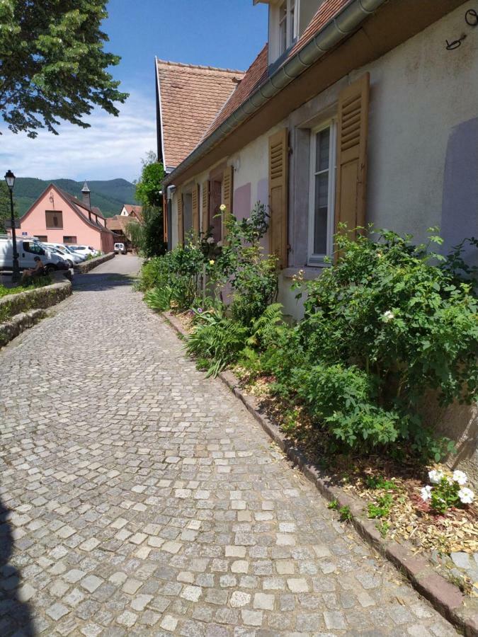 La Grande Terrine - Gites Les Potiers Kaysersberg-Vignoble Zewnętrze zdjęcie